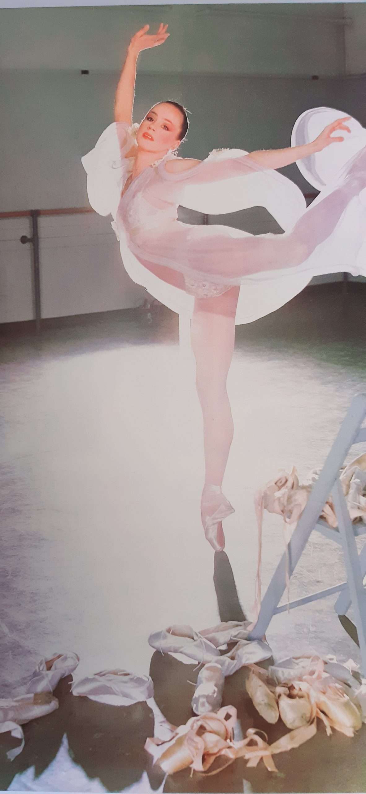 Norman Parkinson: Would You Let Your Daughter? (Signed Limited Edition) - Image 2