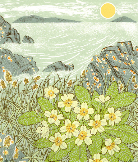 Island Primrose