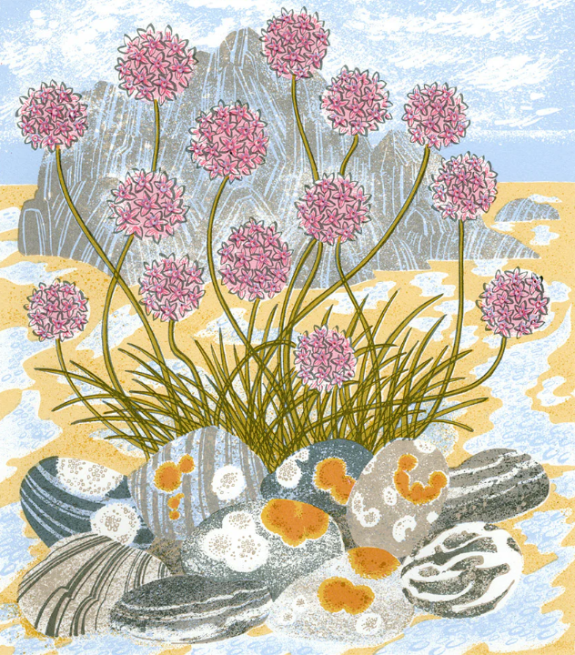 Sea Pinks and Pebbles