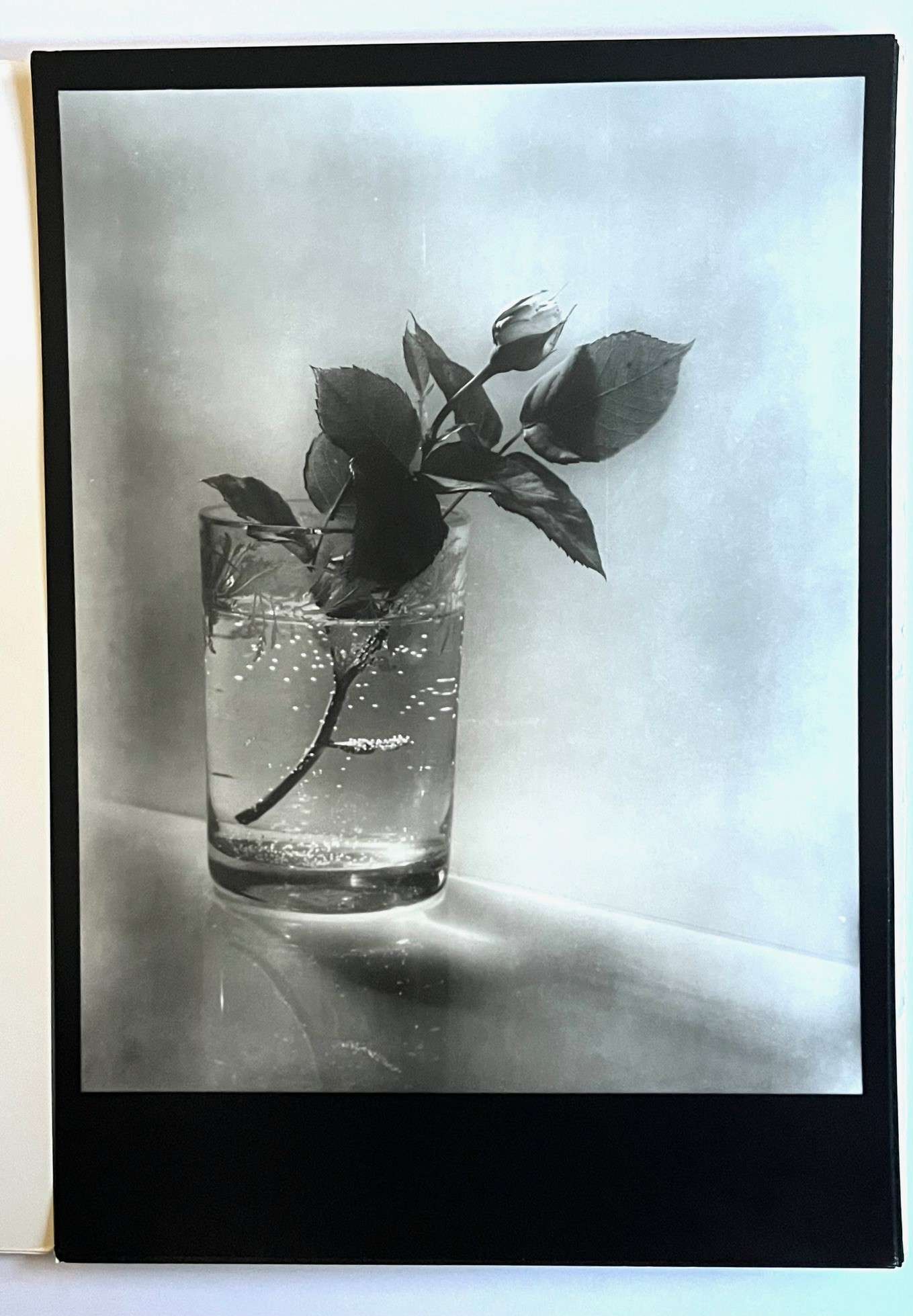 Josef Sudek: Profily 1 Z Praci Mistru Ceskoslovenske Fotografie (1980) - Image 2