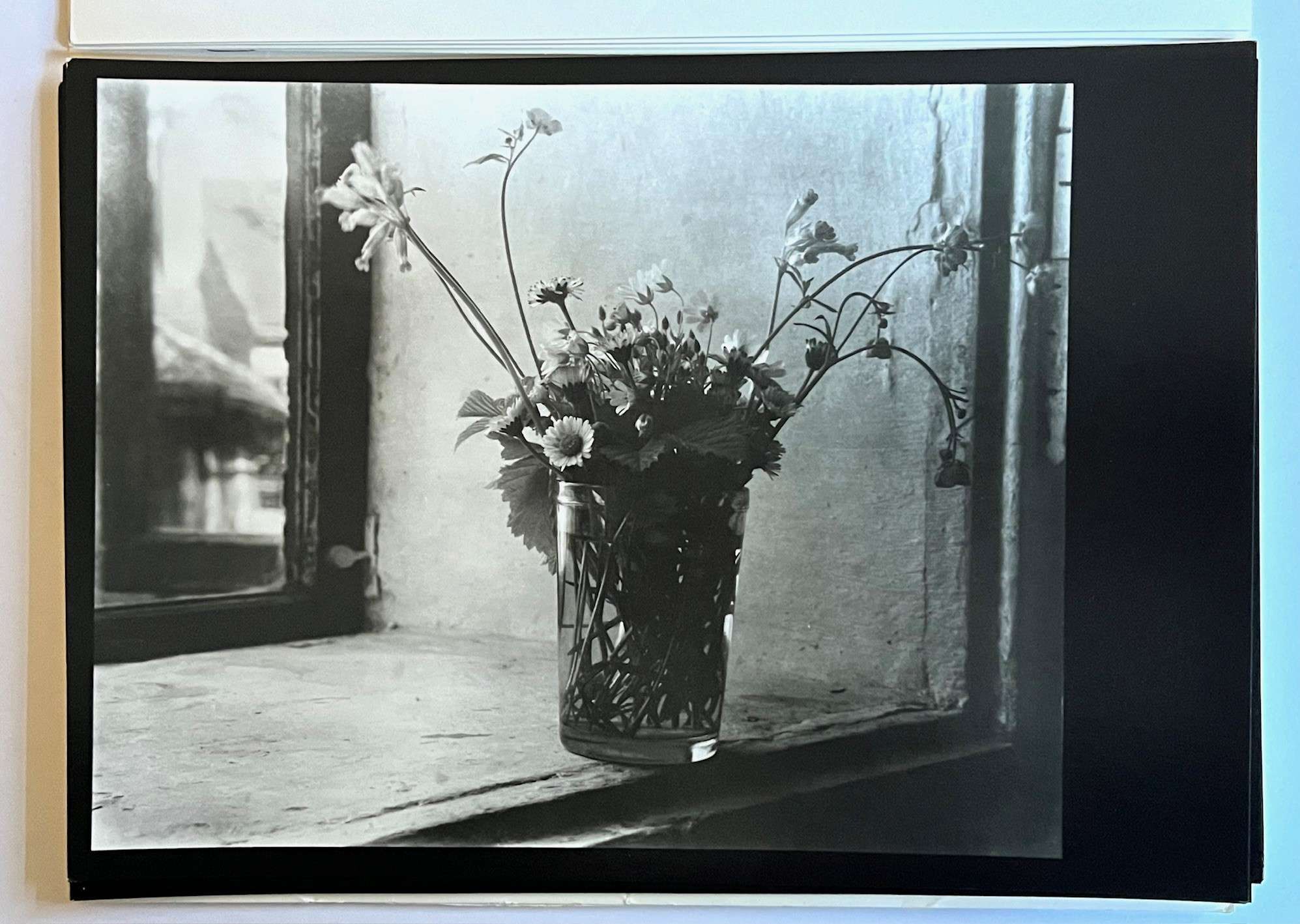 Josef Sudek: Profily 1 Z Praci Mistru Ceskoslovenske Fotografie (1980) - Image 3