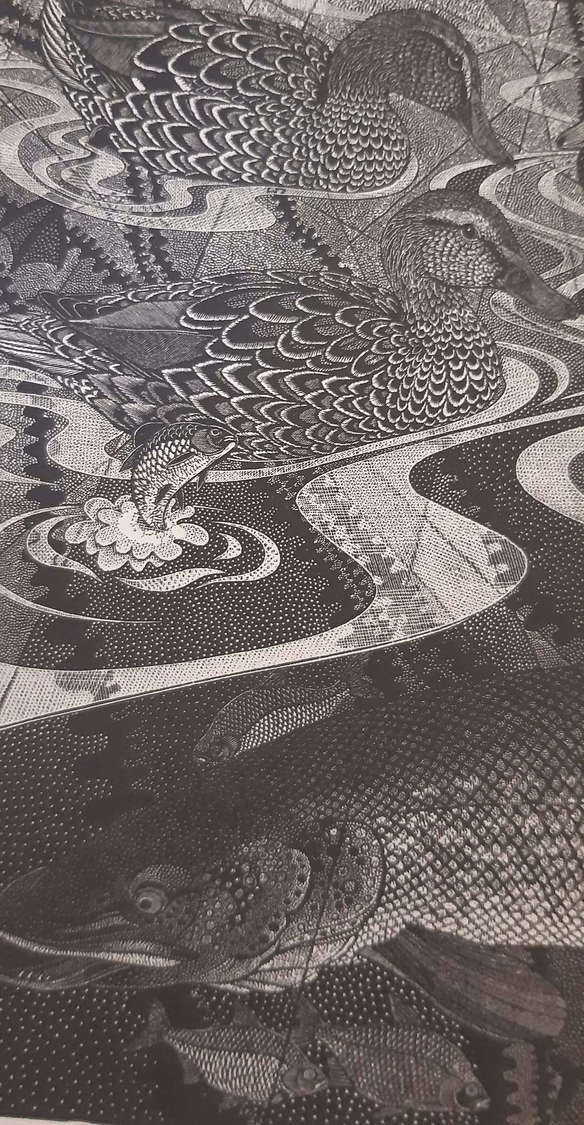 Colin See-Paynton: Air and Water - Image 2