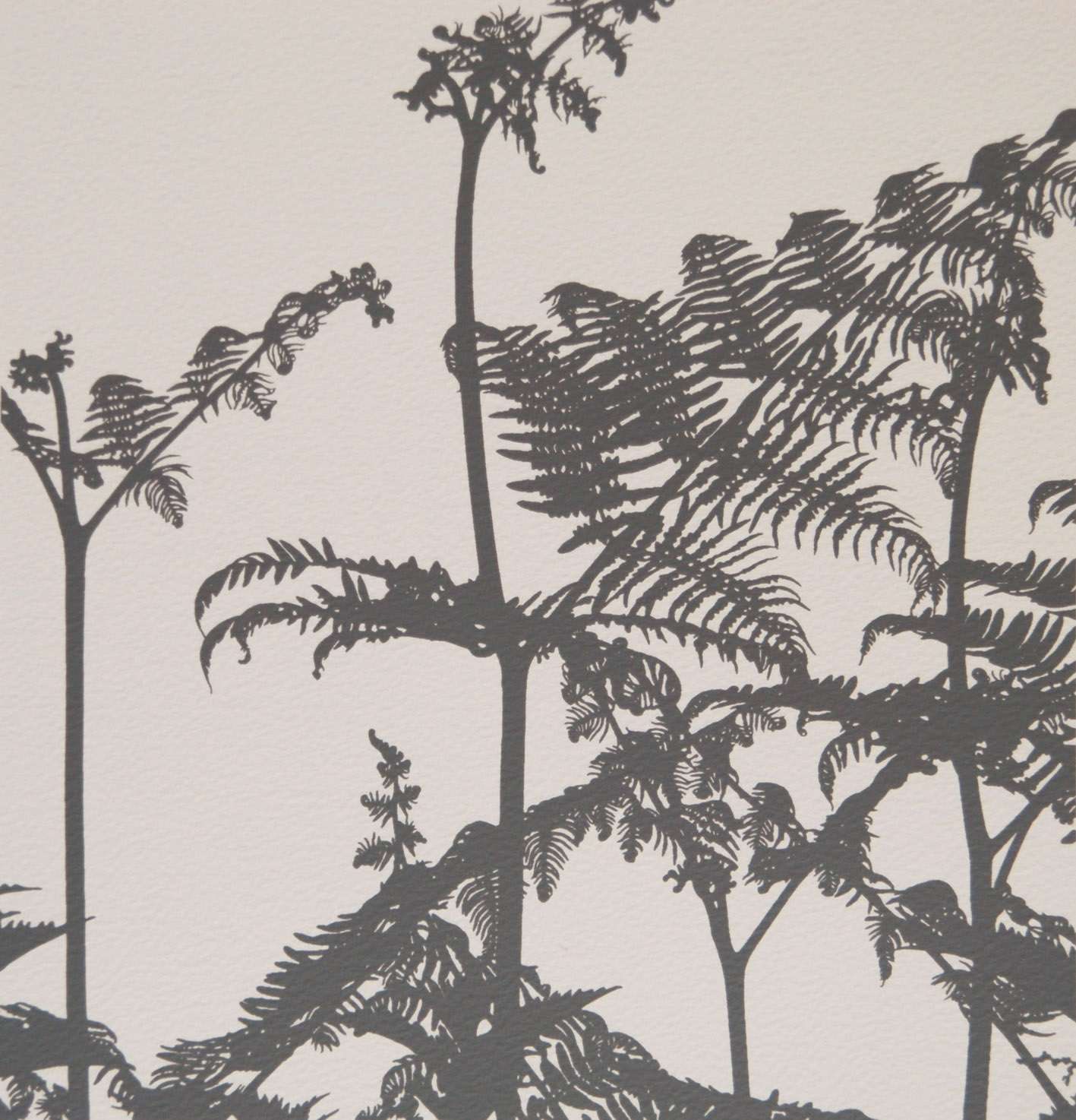 Bracken Fronds 2