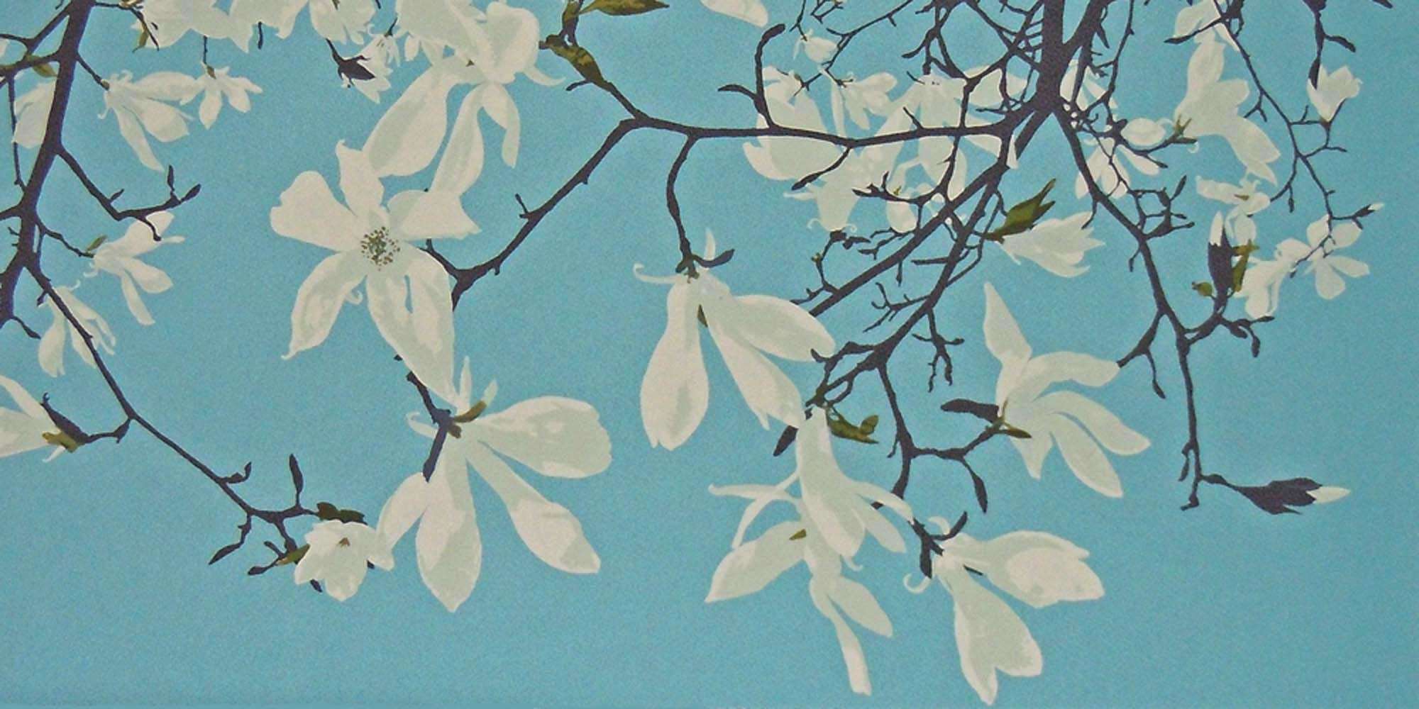 Magnolia Stellata
