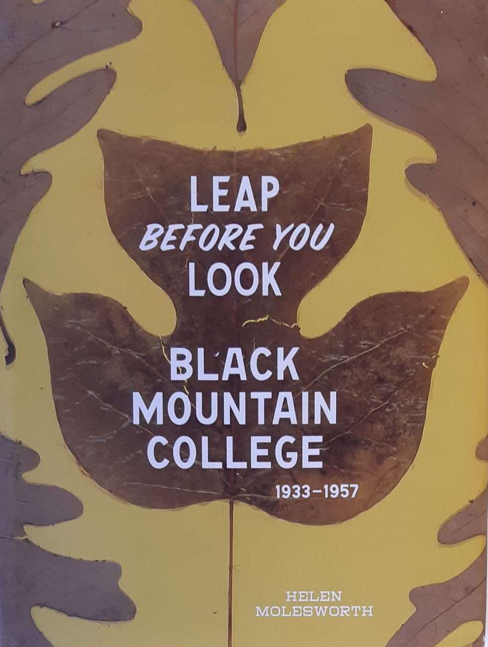 Leap Before You Look: Black Mountain College, 1933-1957 (2015)