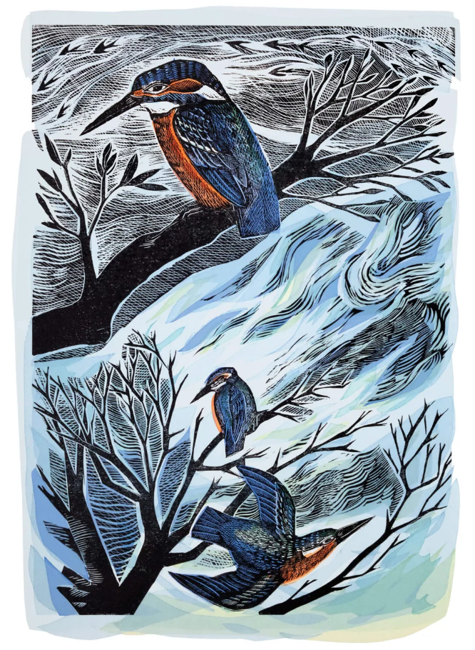 Suffolk Kingfishers