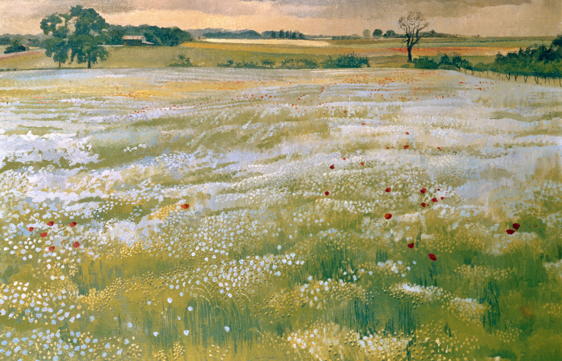 Field of Flax