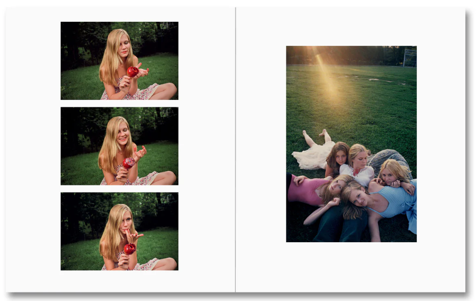 The Virgin Suicides 1