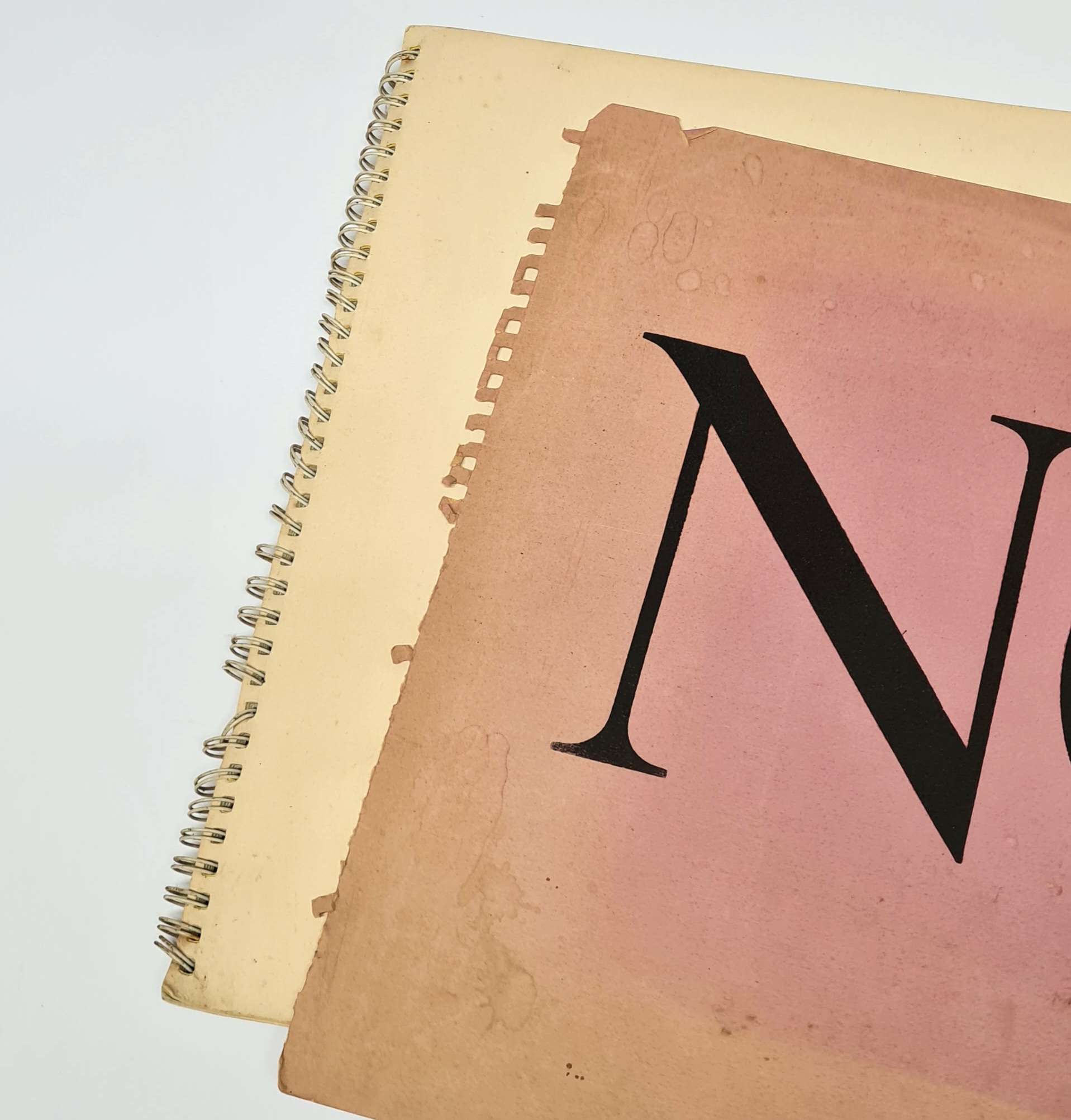 Noah (1966) (Art Society Press) (PC Gregory) (Signed) (Undated) - Image 6