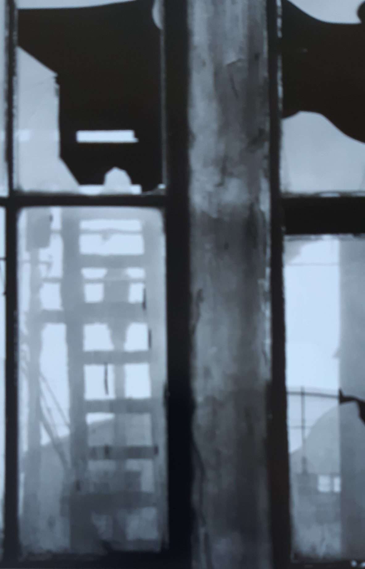 Brett Weston: Fifteen Photographs (2007) - Image 2