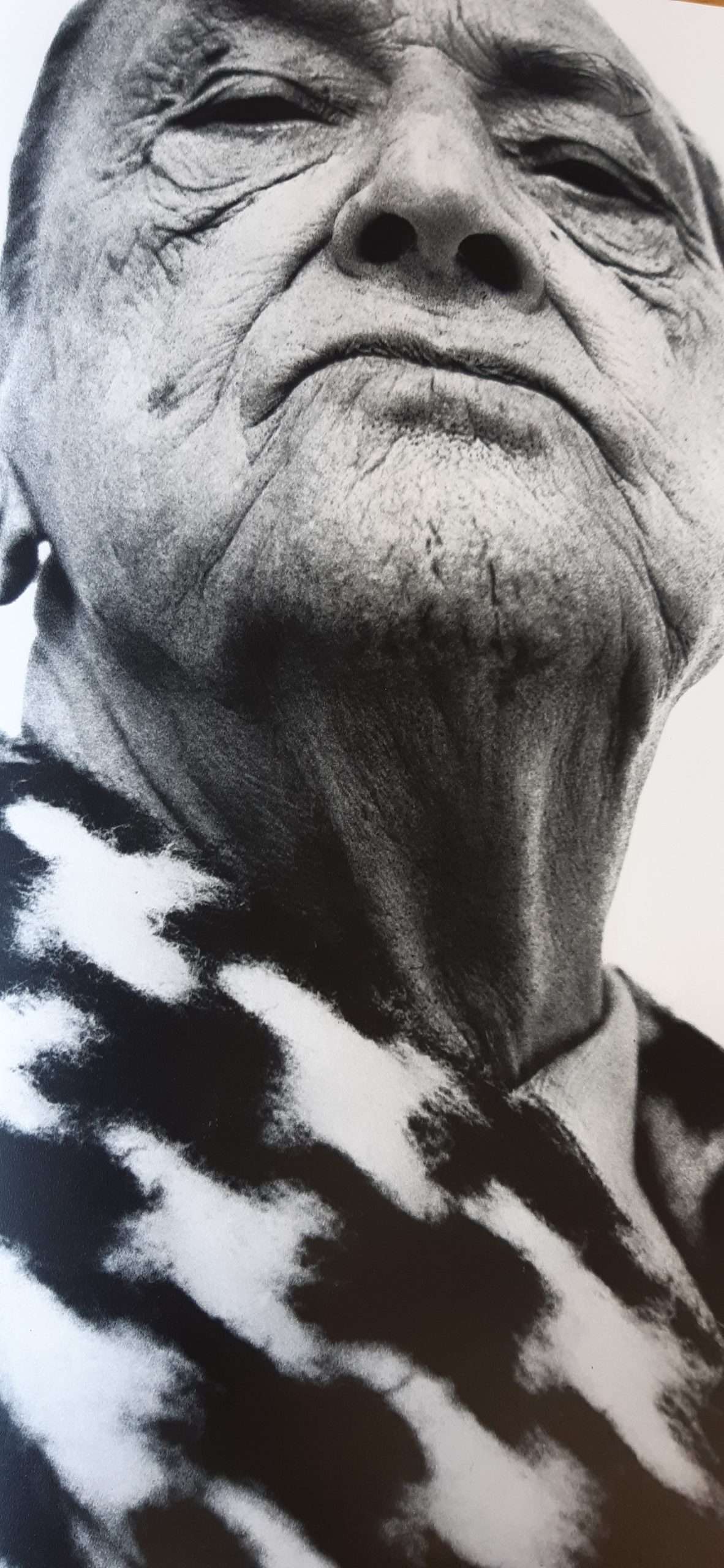 Observations Photographs By Richard Avedon (1959) - Image 2