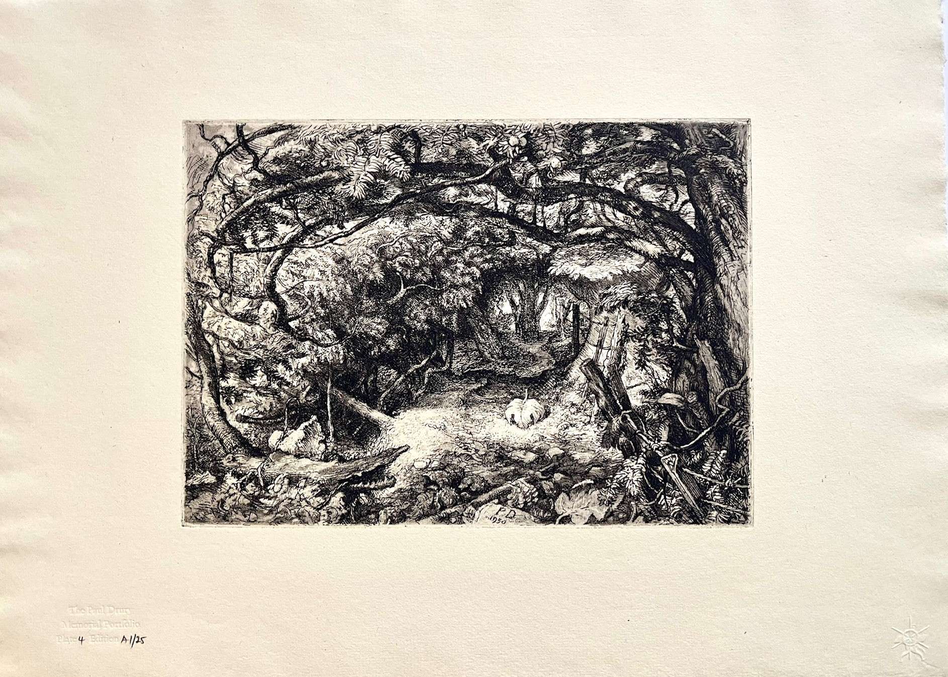 Mickleham Yews