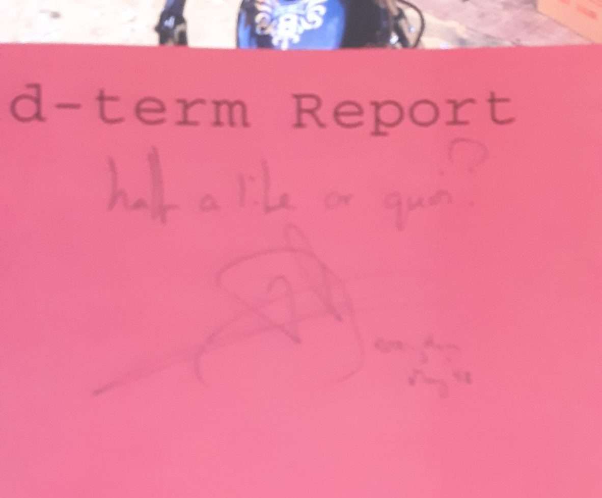 Tim Page: Mid-term Report (1995) (SIGNED) - Image 2