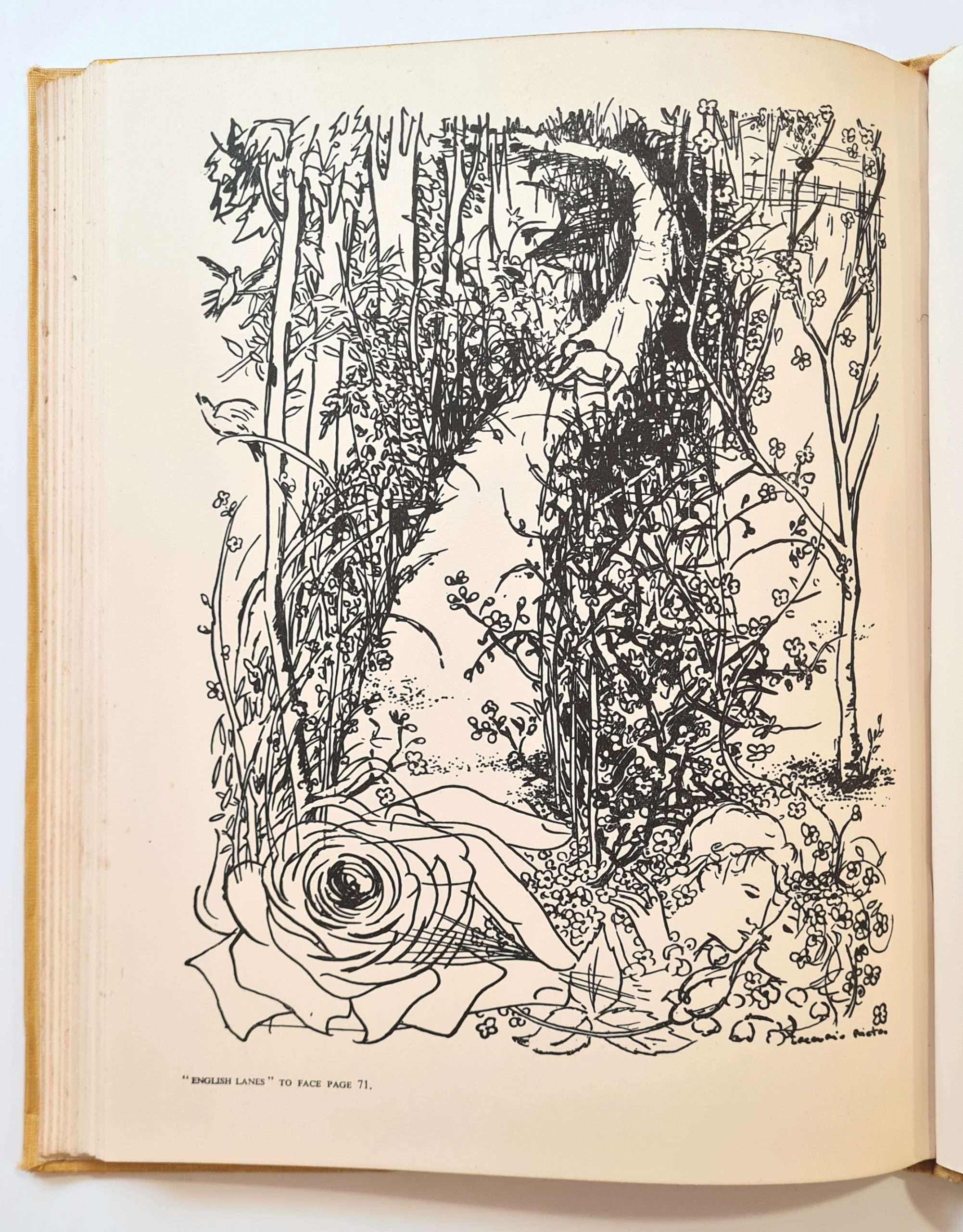 We Burn: Selected Poems of Marie Carmichael Stopes (Signed by Marie Stopes) (Ronald Blythe Interest) (1949) - Image 2
