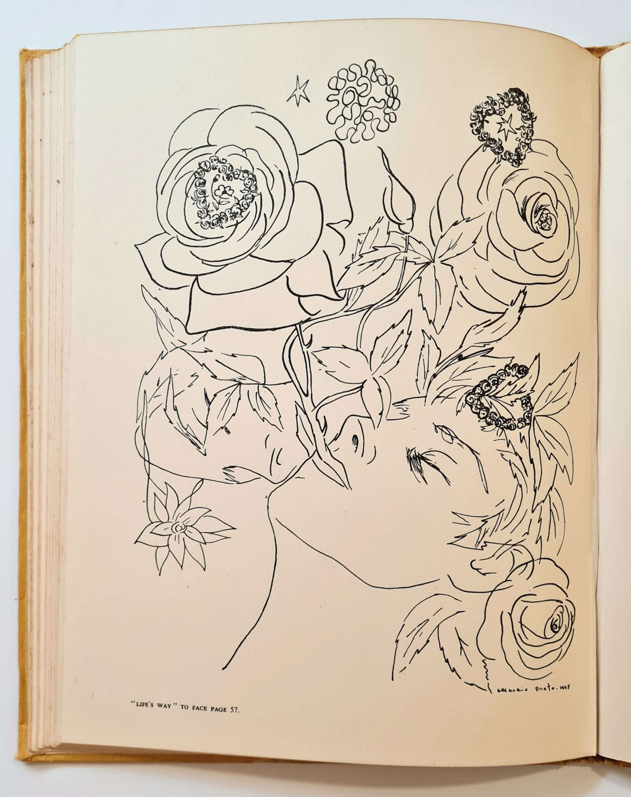 We Burn: Selected Poems of Marie Carmichael Stopes (Signed by Marie Stopes) (Ronald Blythe Interest) (1949) - Image 3