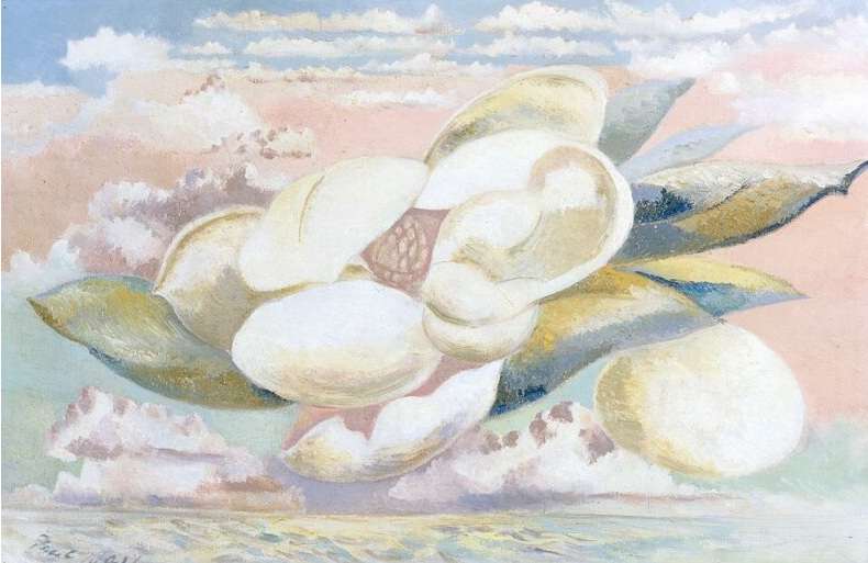 Flight of the Magnolia