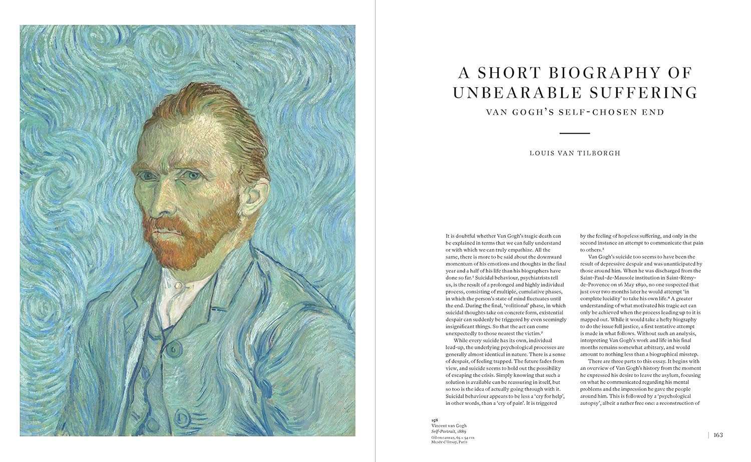 Van Gogh in Auvers-sur-Oise: His Final Months (2023) - Image 2