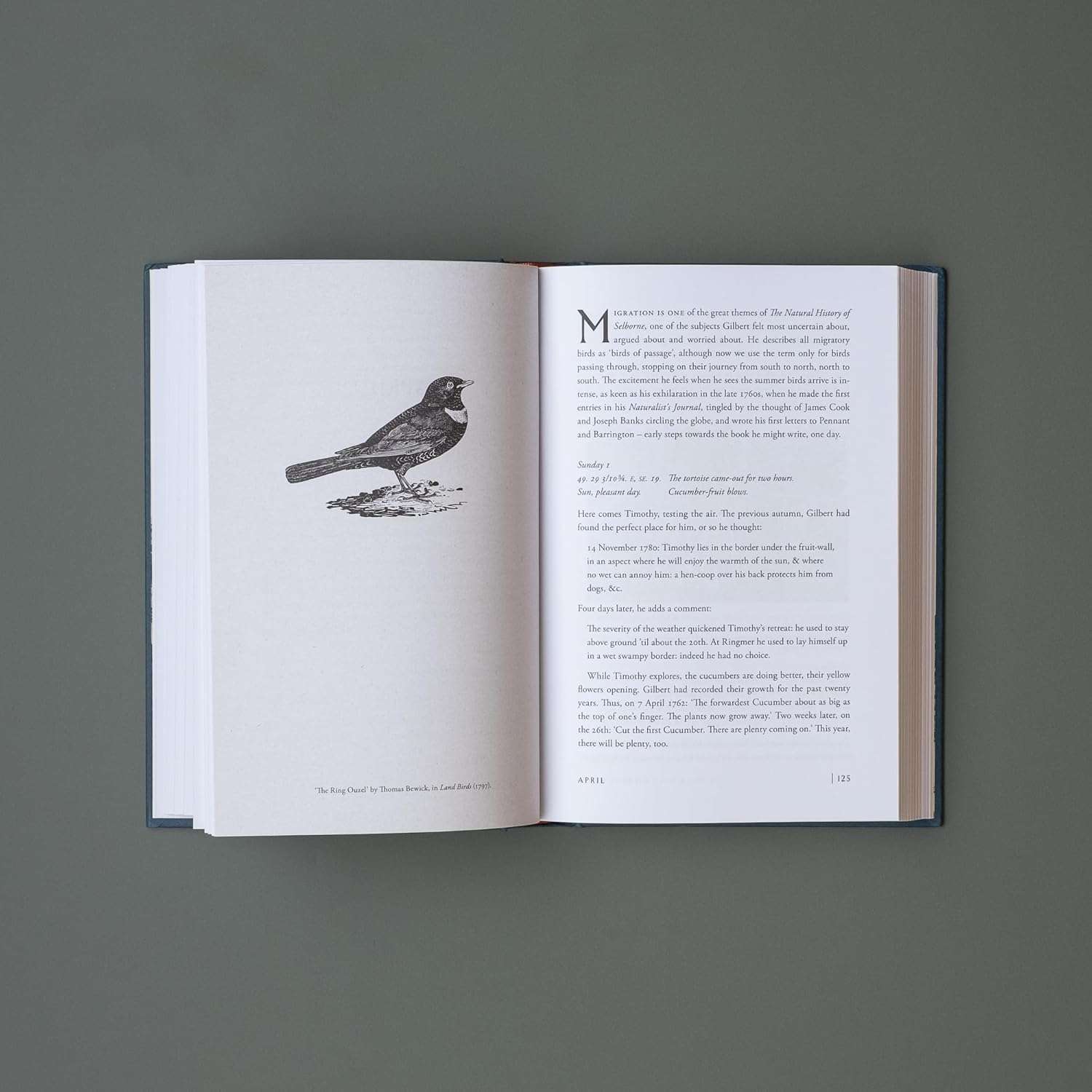 A Year with Gilbert White - Image 2