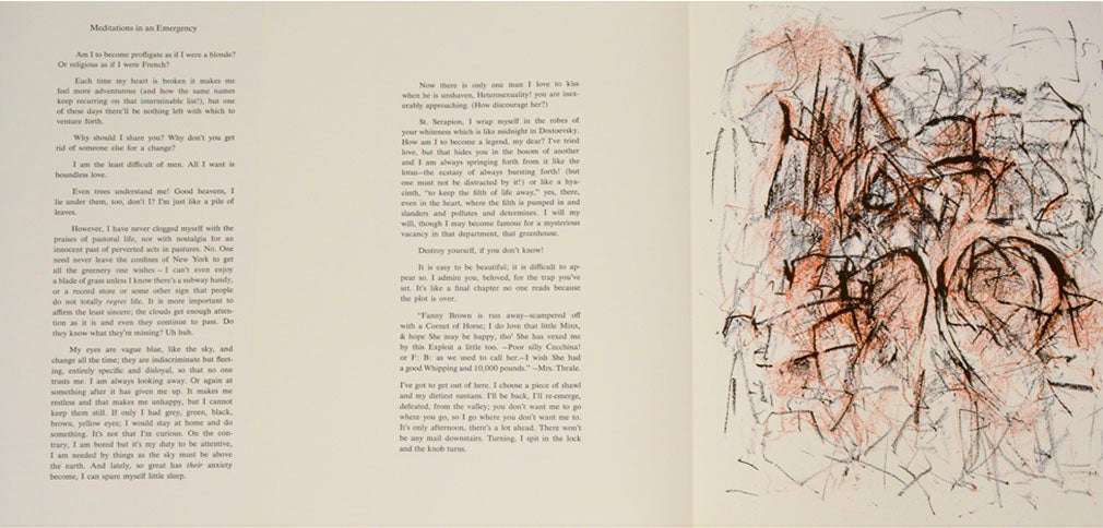 Frank O'Hara: In Memory of My Feelings (1967) - Image 5