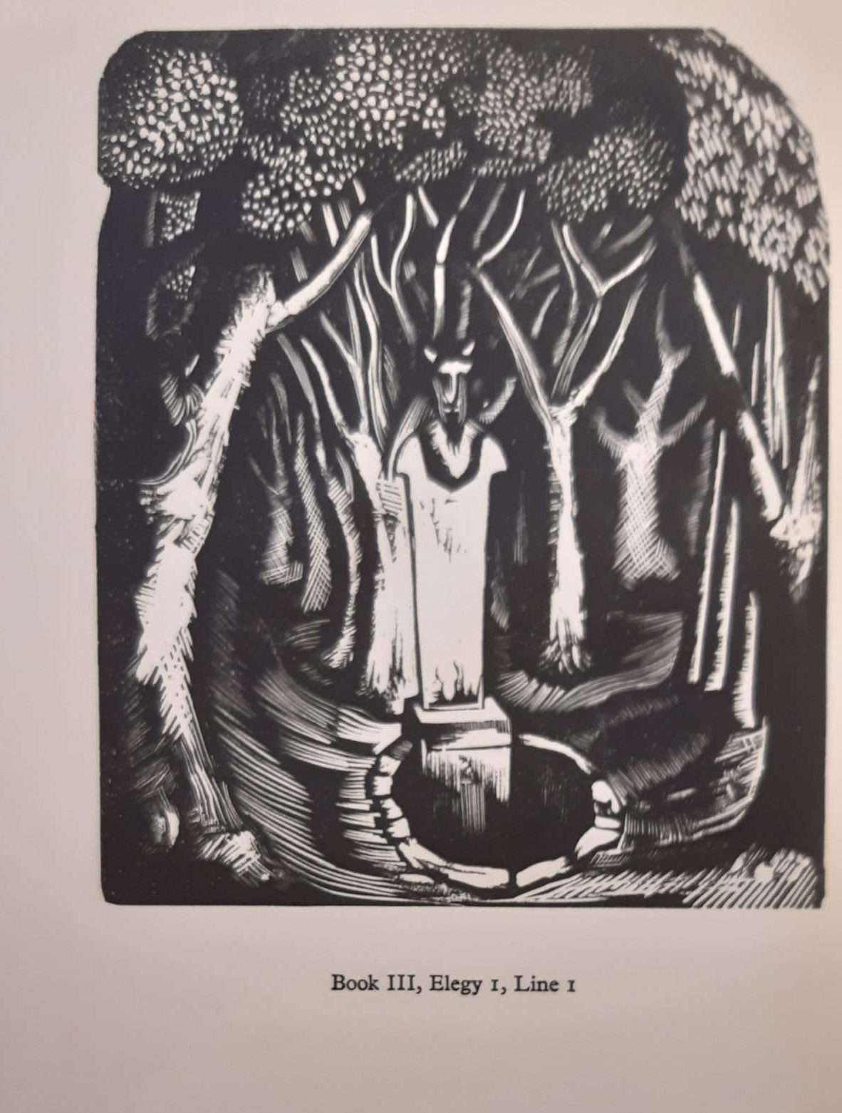 Ovid's Elegies (With Decorations Engraved by John Nash) (1925) - Image 4