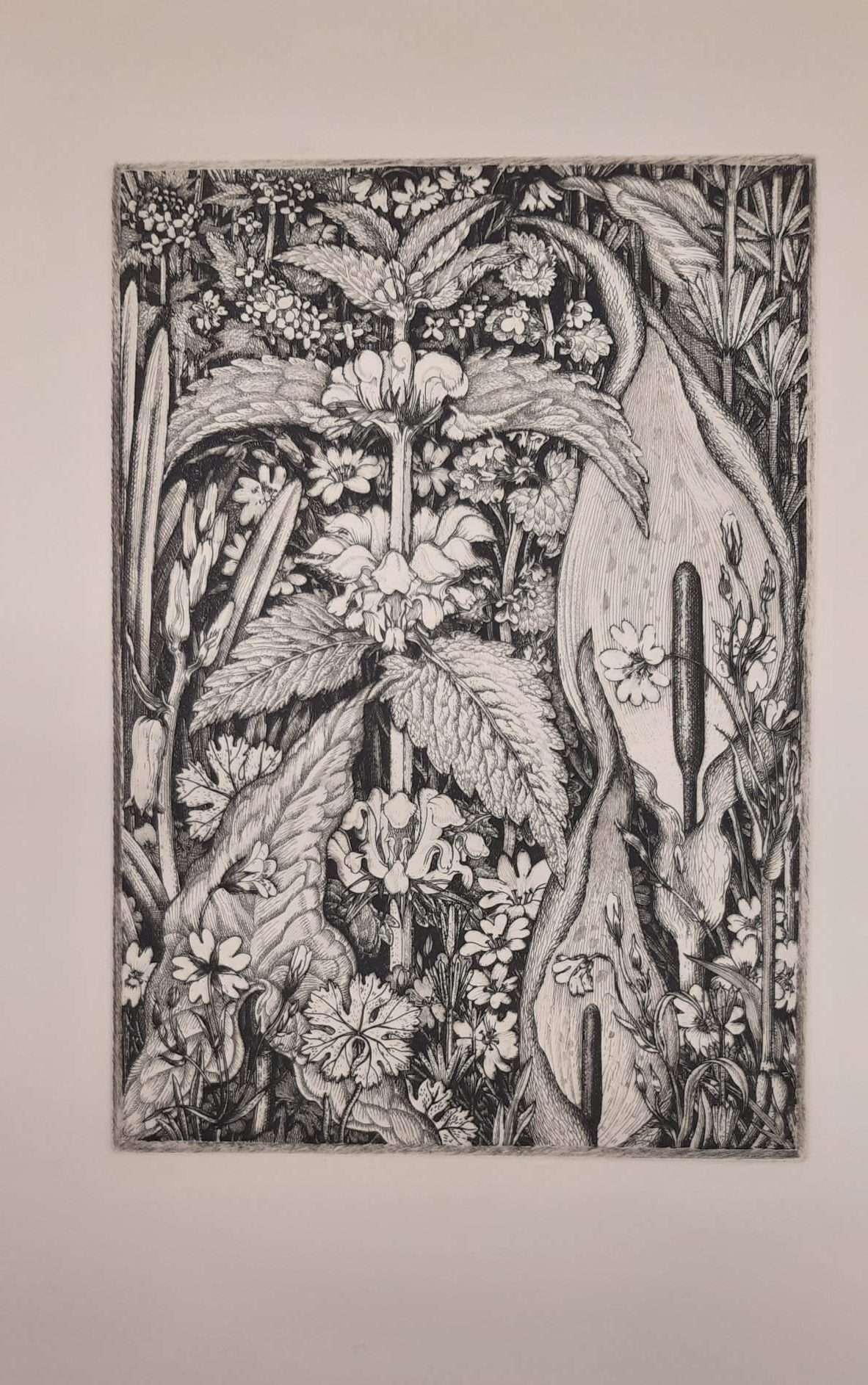 Robin Tanner: The Memorial Portfolio 12 Etchings (1989) - Image 6