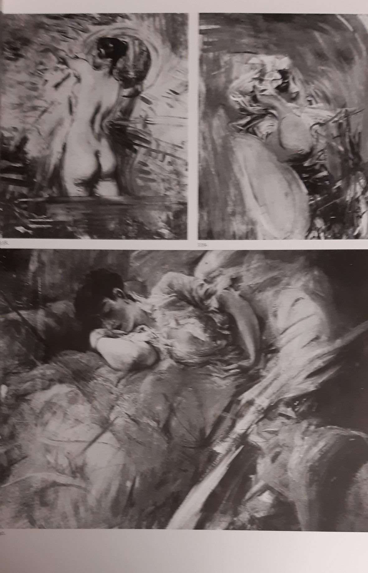 Giovanni Boldini, 1842-1931: Catalogo Ragionato (2004) - Image 3