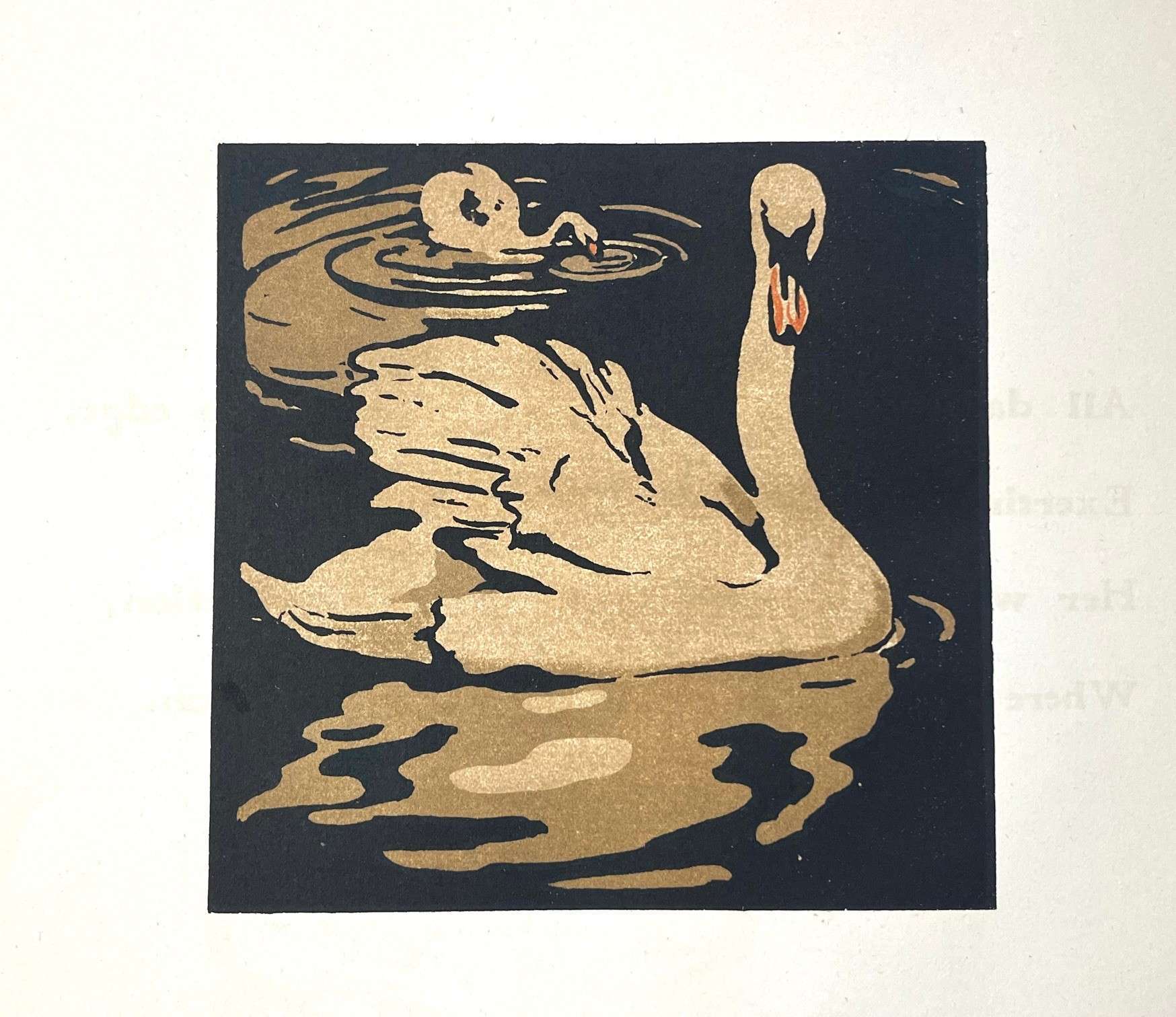 The Beautiful Swan