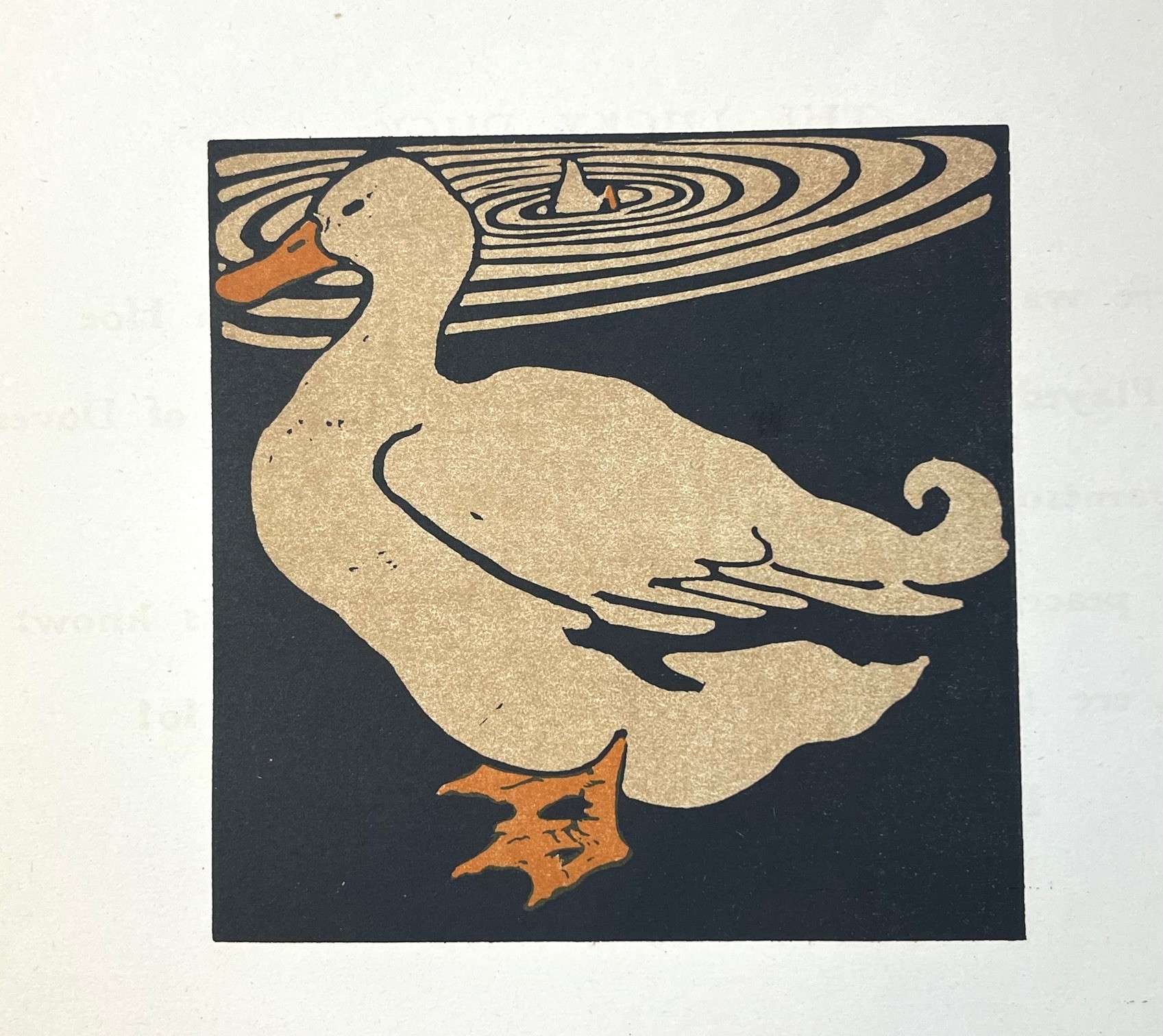 The Lucky Duck