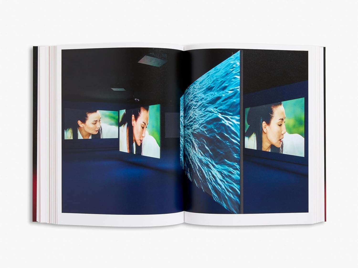 Isaac Julien: I Dream a World (Signed) (2025) - Image 2