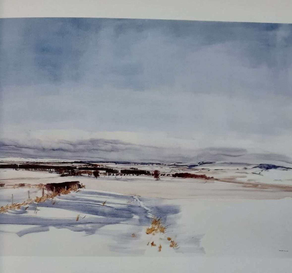 James Morrison: New Paintings (1999) (Signed) - Image 3
