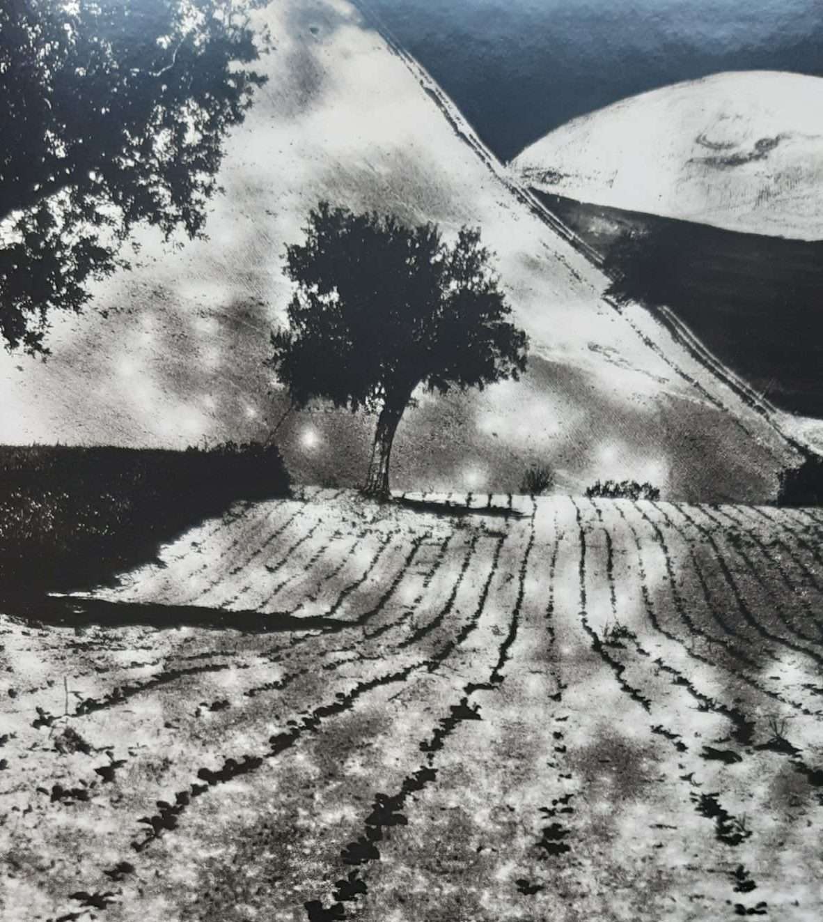 Mario Giacomelli: The Black is Waiting for the White (2009) - Image 3