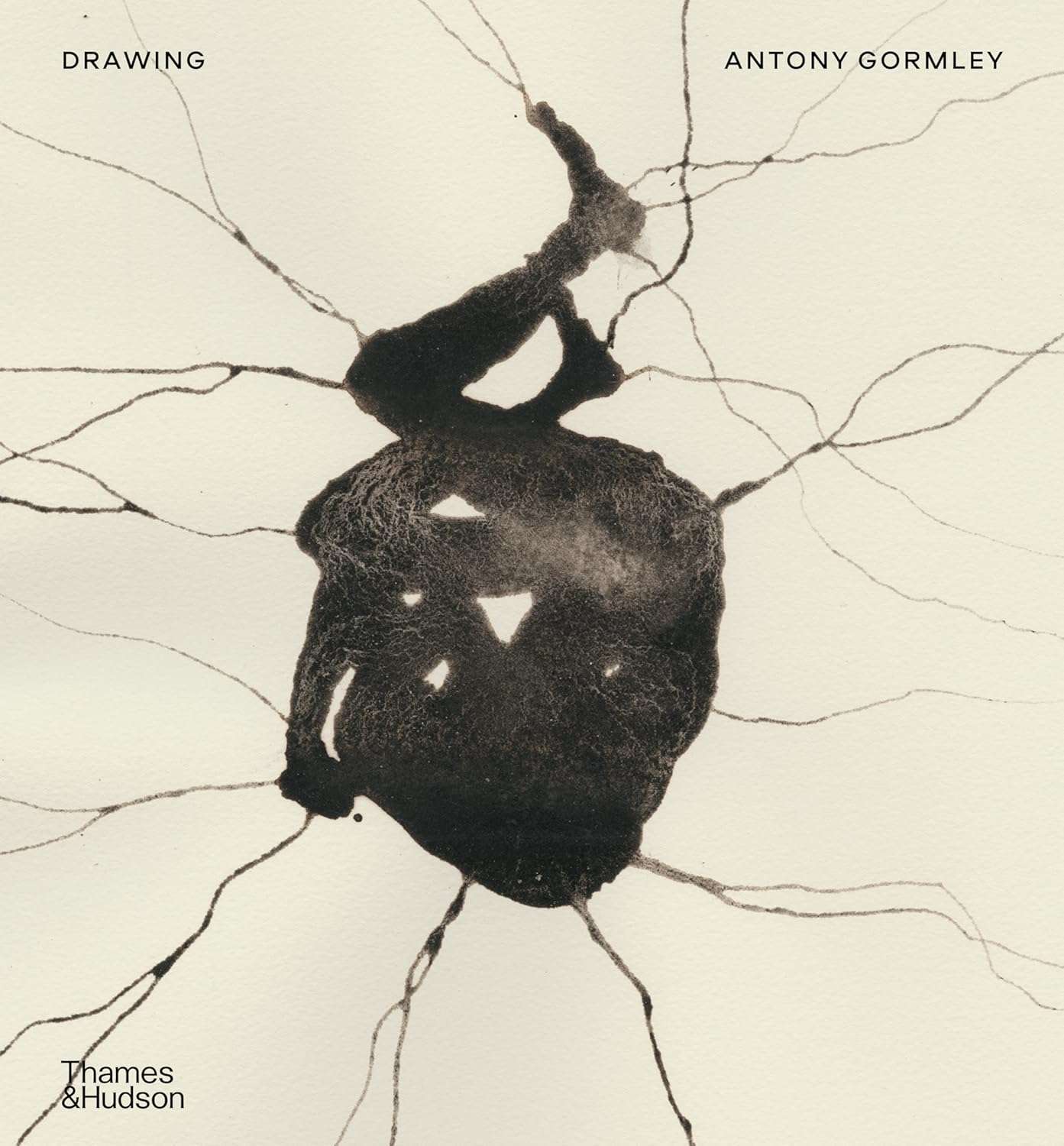 Drawing Antony Gormley