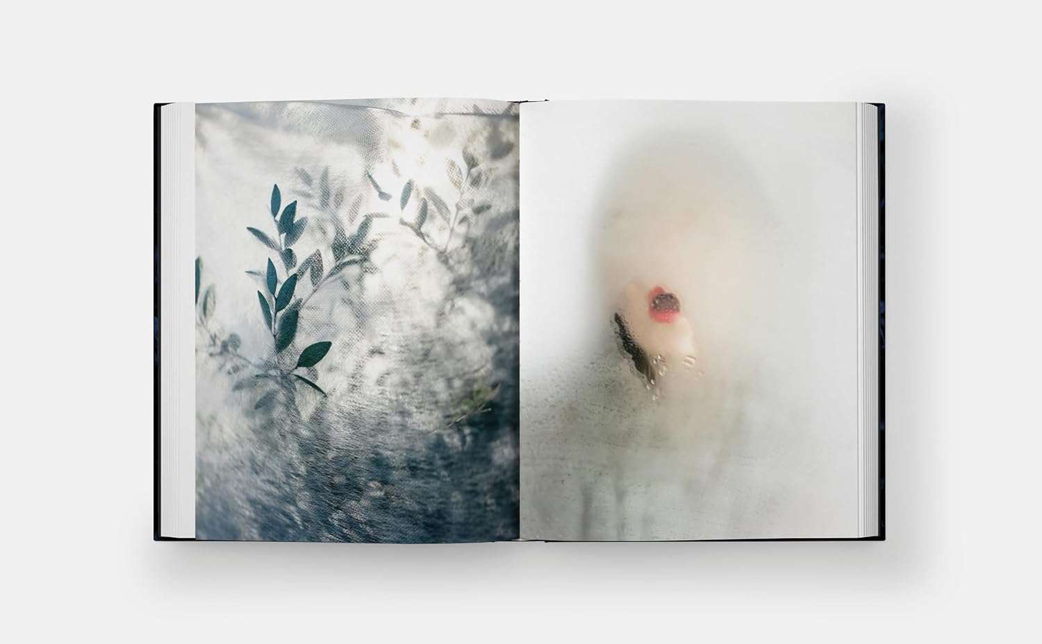 Blue Violet (Cig Harvey) (2021) - Image 3
