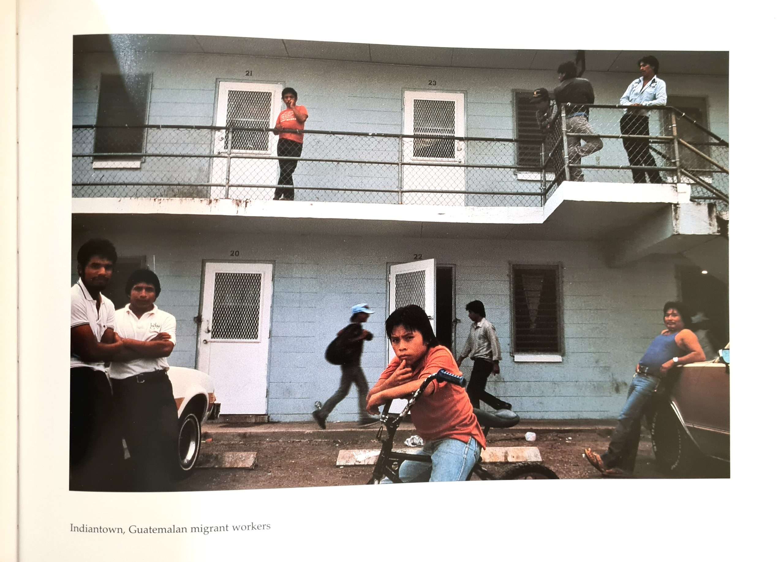 From the Sunshine State: Photographs of Florida (Alex Webb) (1996) - Image 3