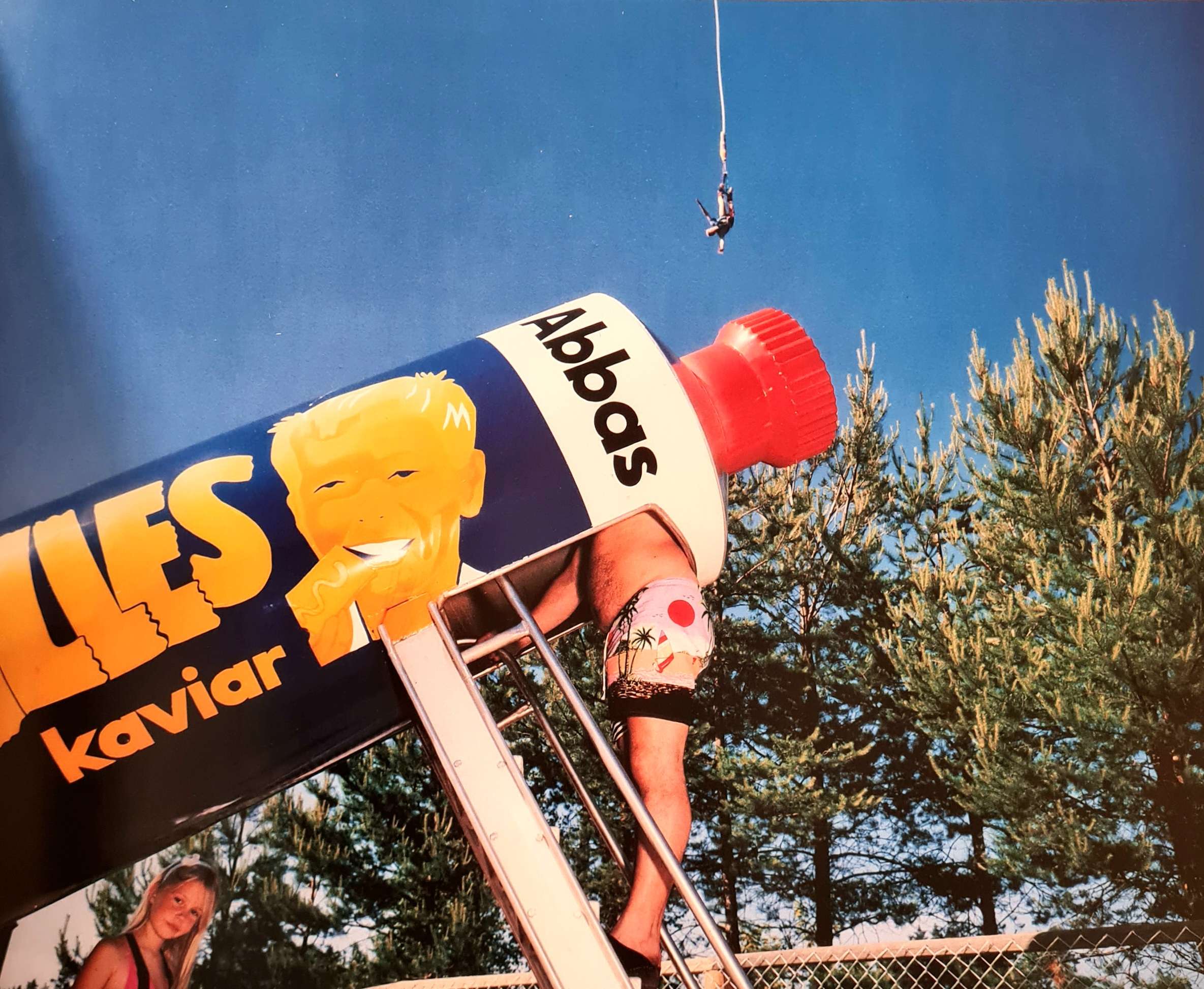 Landet Utom Sig: Bilder Fran Sverige / Country Beside Itself: Pictures from Sweden (Lars Tunbjork) (1993) - Image 3