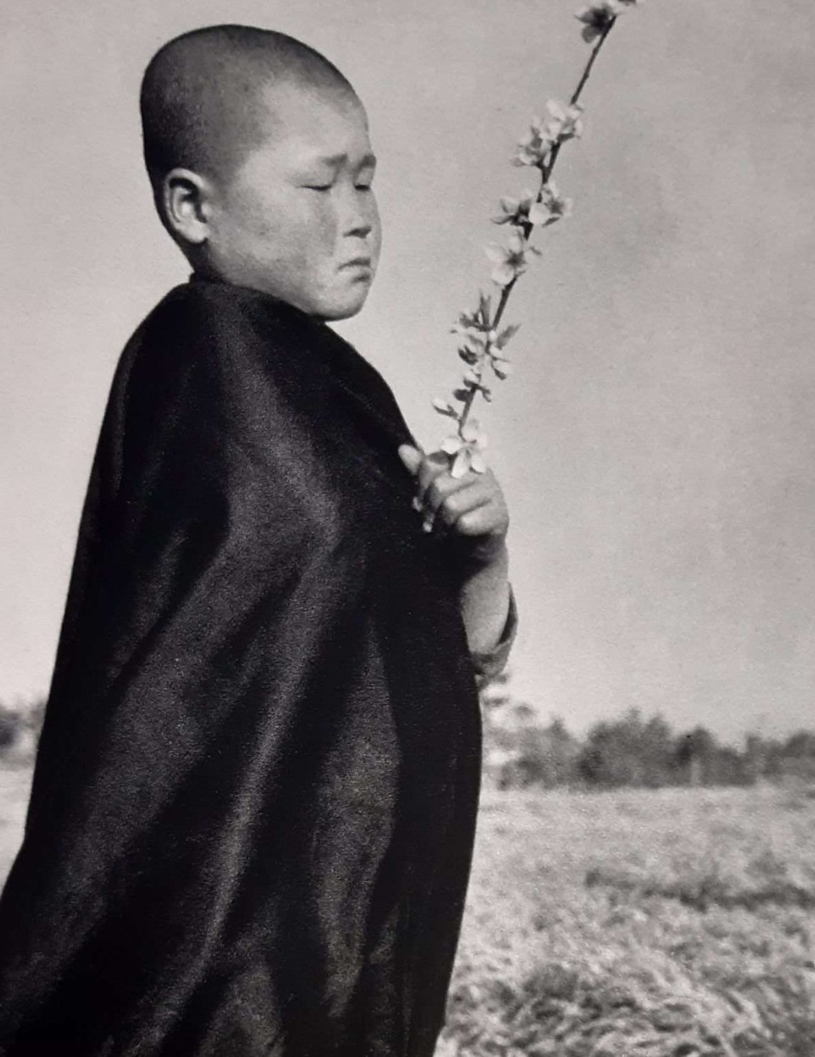 Shoji Ueda: Sand Dunes/Season of the Children (1978) - Image 2