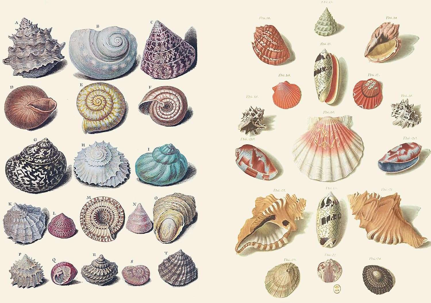 The Curious Collections Sticker Book - Image 4