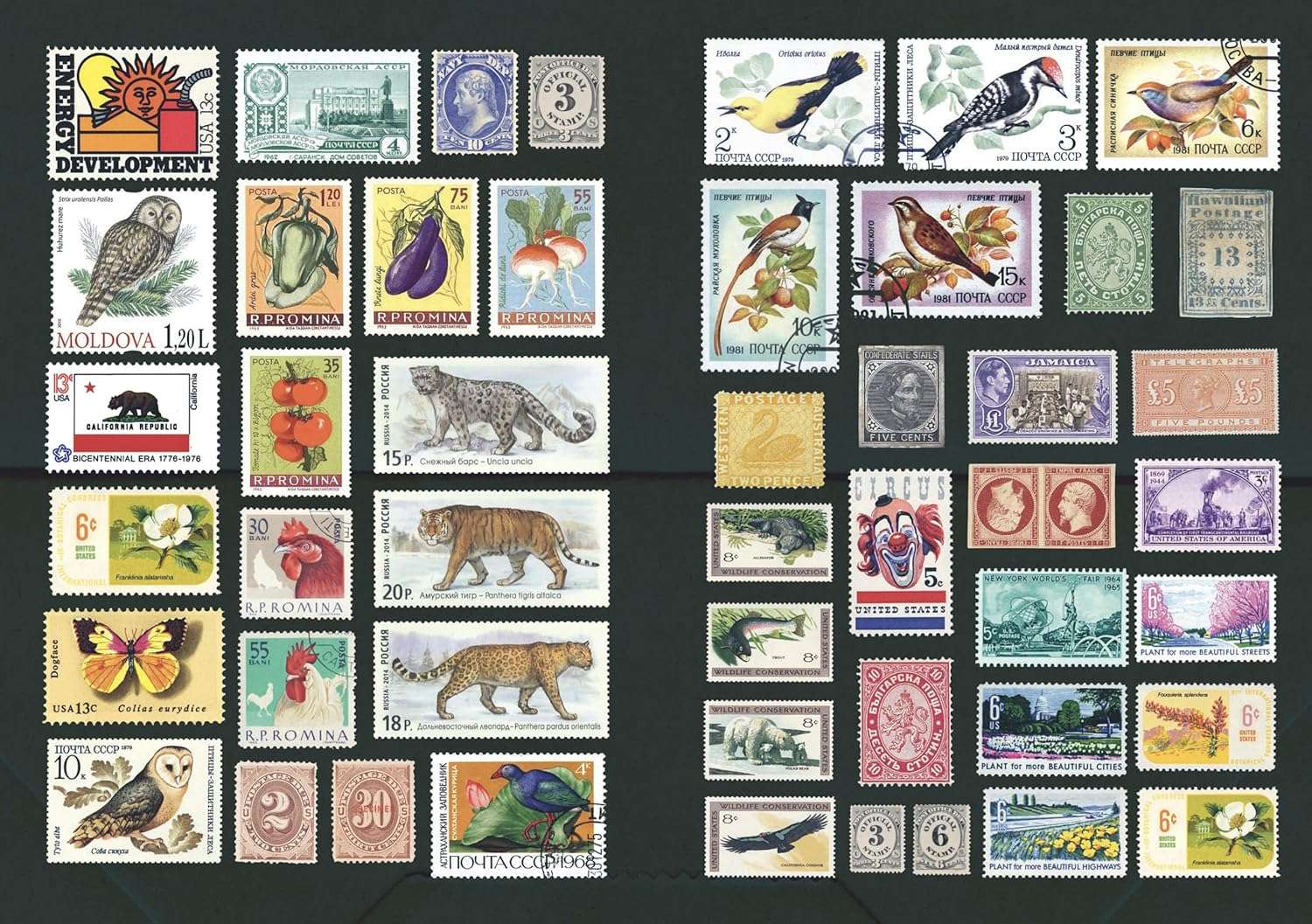 The Curious Collections Sticker Book - Image 2
