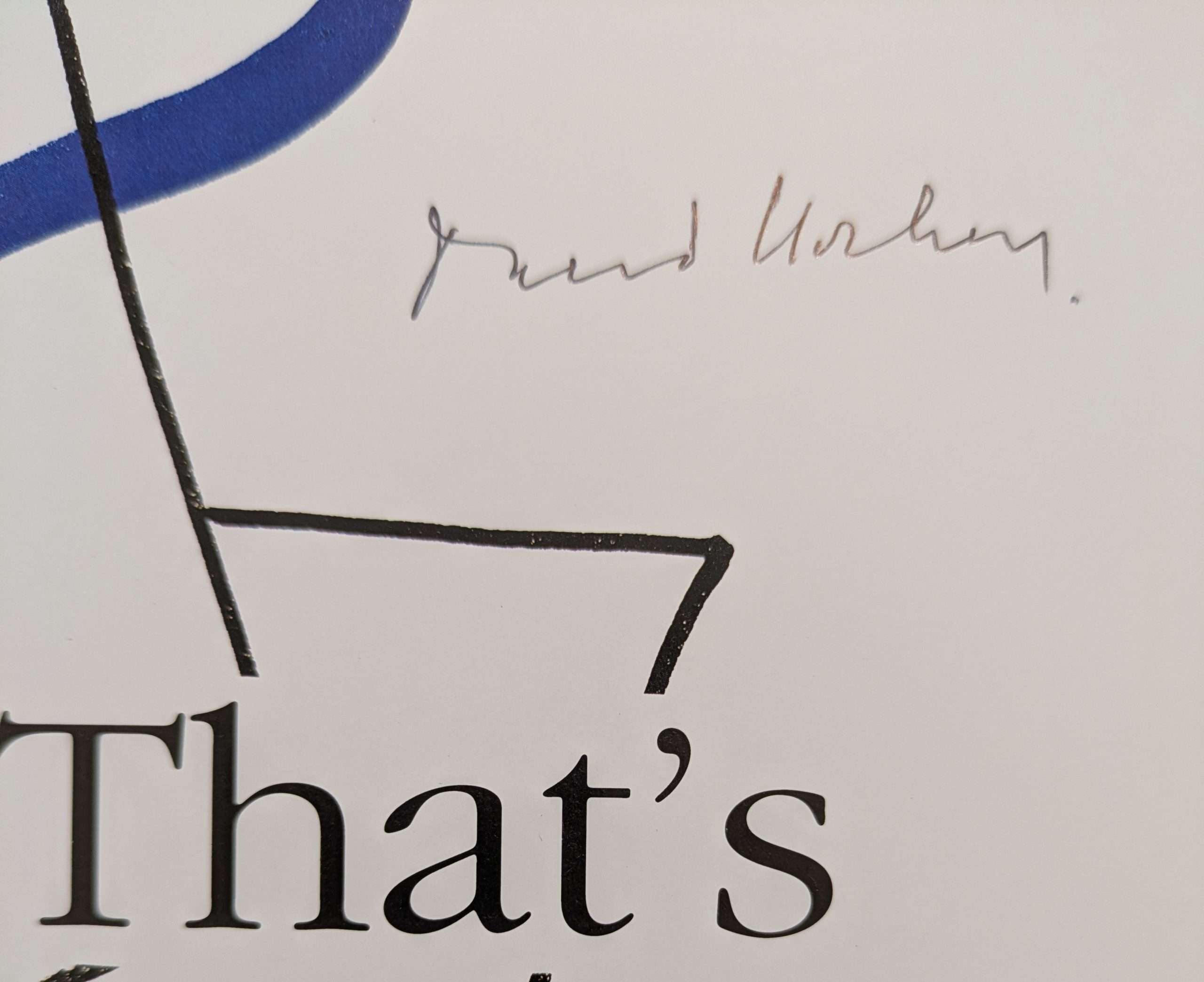 David Hockney: That's the way I see it (1993) (Signed by David Hockney) - Image 2