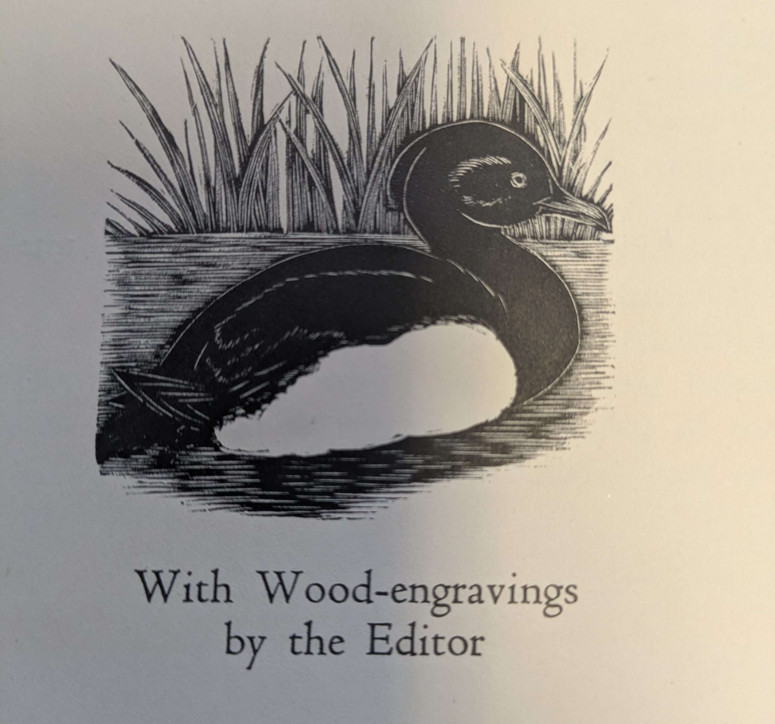 Open-Air Library: A Sportsman's Sketches (Inscribed by Eric Daglish to John Nash) (1932) - Image 6