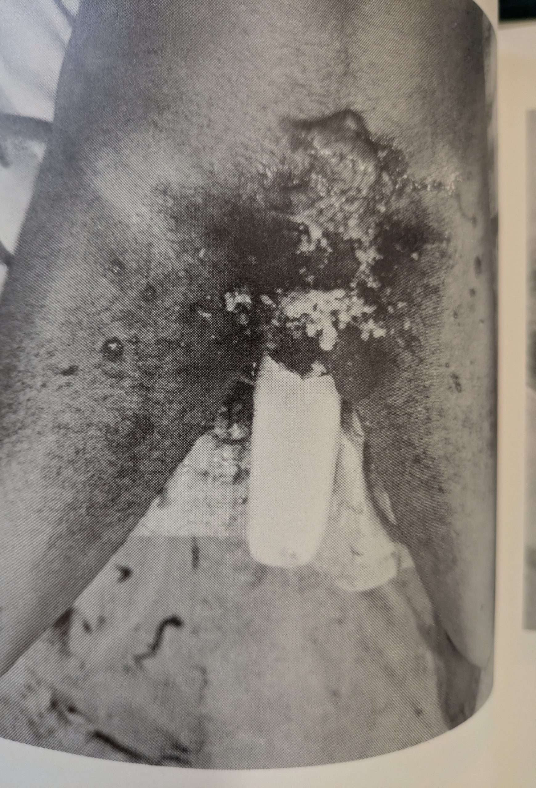 From Action Painting to Actionism Vienna 1960-1965 (1988) - Image 4