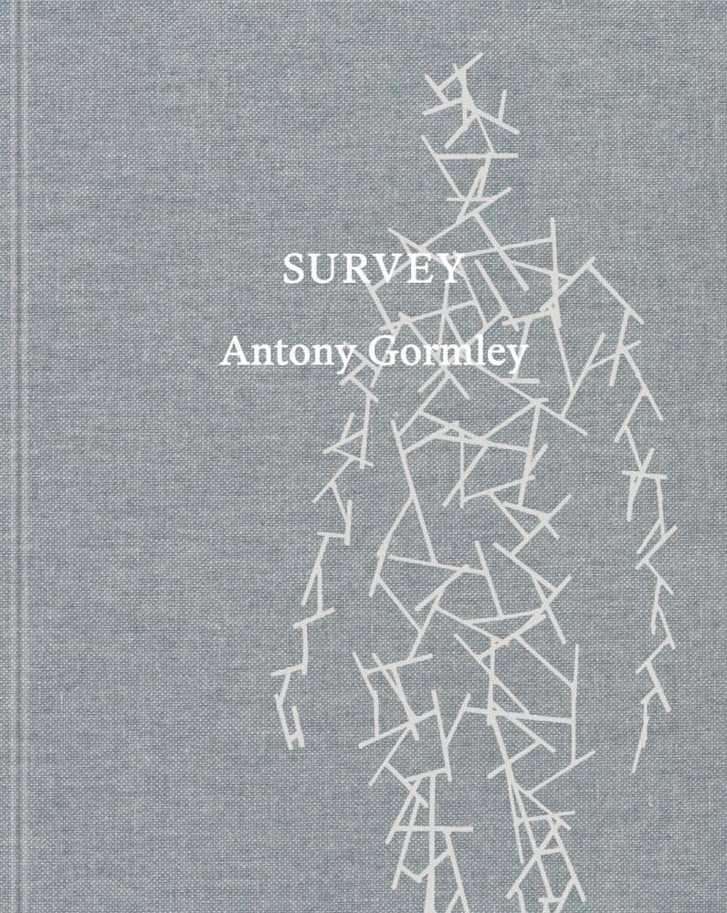 Survey Antony Gormley