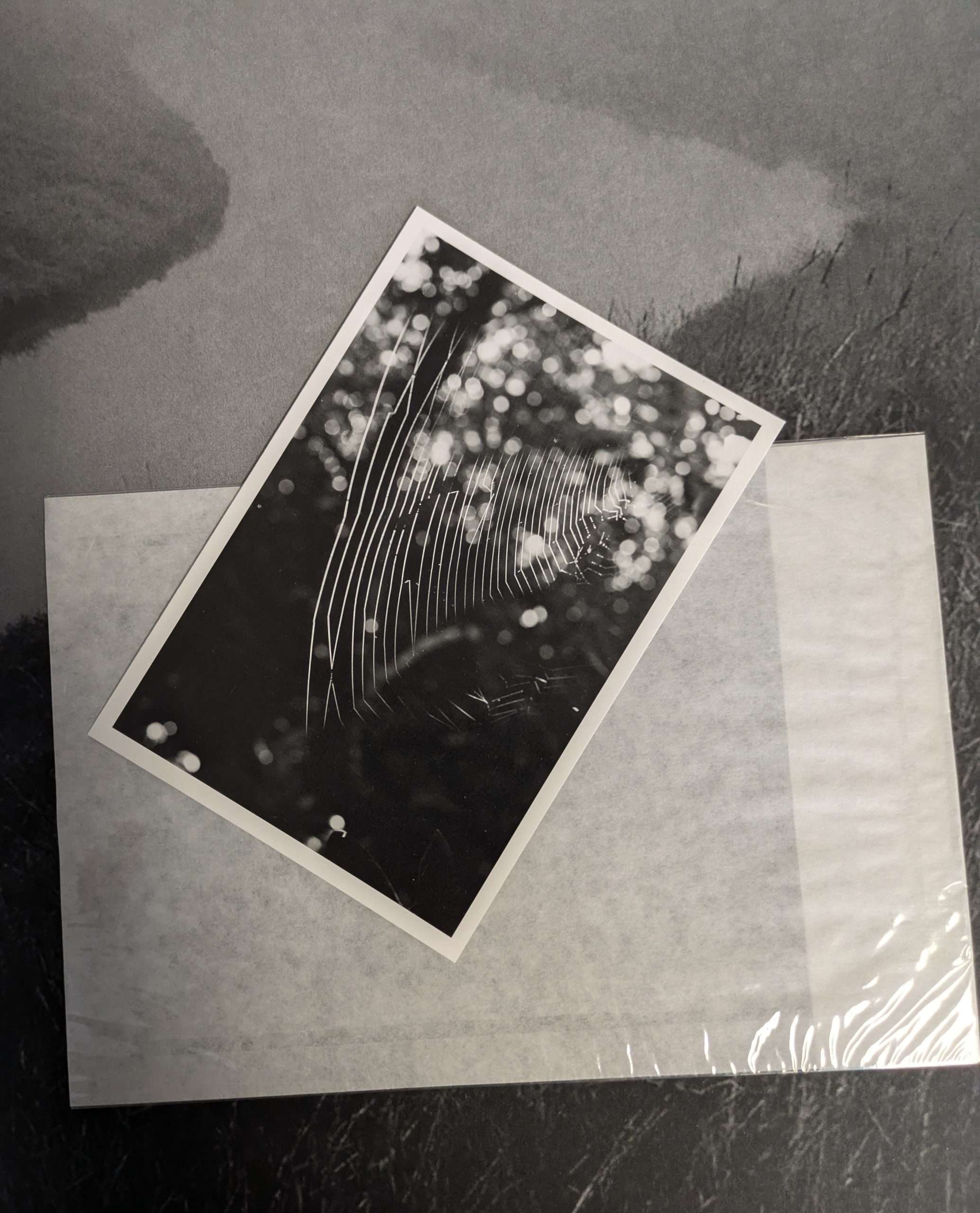 Martin Amis: This Land (With Signed Photo) (2021) - Image 2