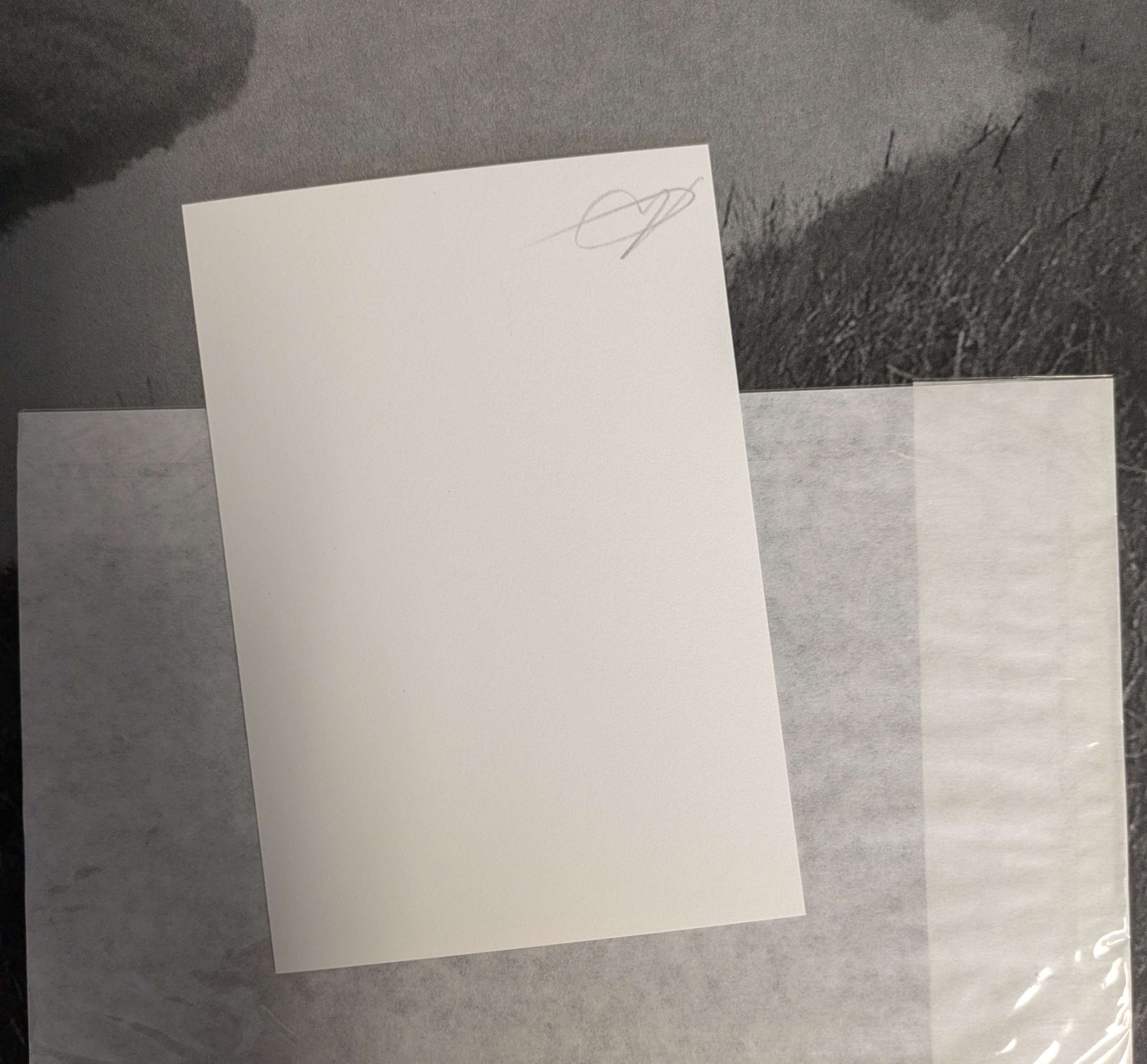 Martin Amis: This Land (With Signed Photo) (2021) - Image 3
