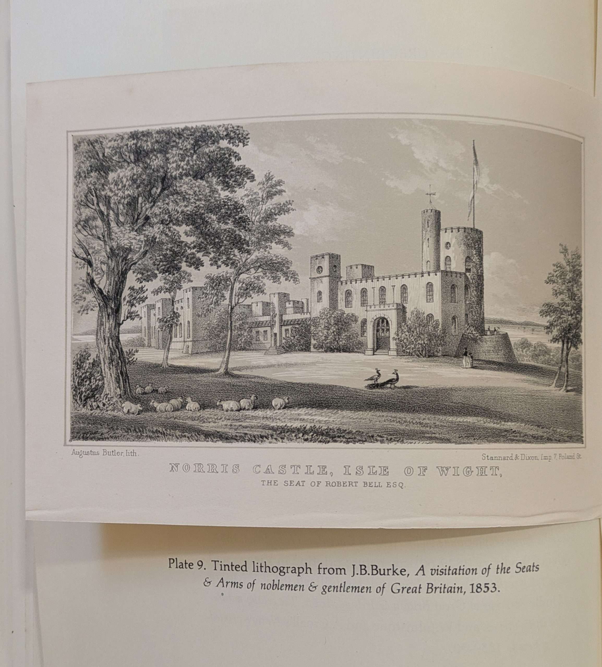 Geoffrey Wakeman: The Production of Nineteenth Century Colour Illustration (1976) (Plough Press) - Image 10